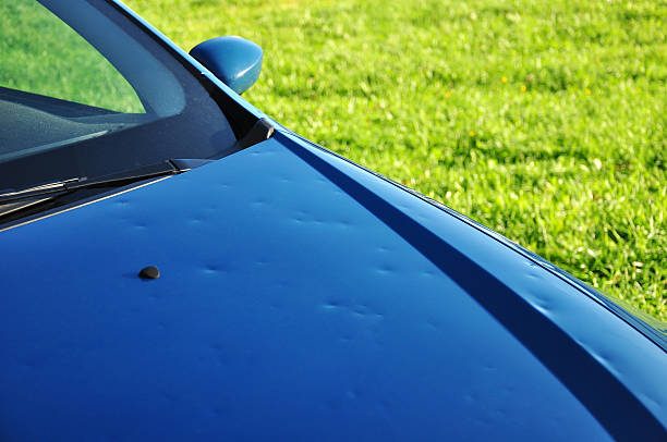 Hail damage paintless dent repair result, Miami
